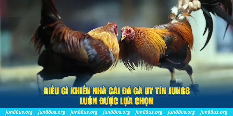 gacha club bắn cá 30
