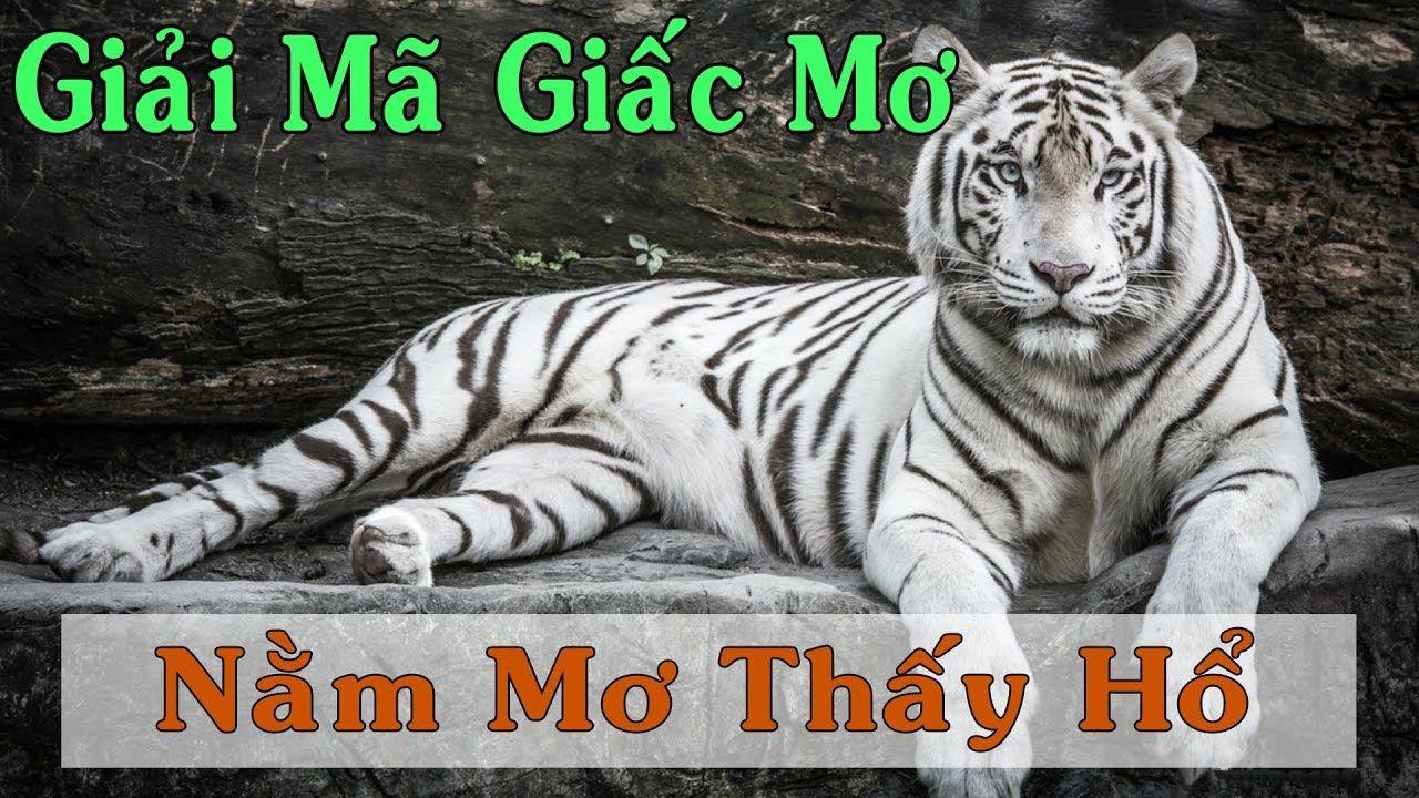 gacha club xổ số miền trung