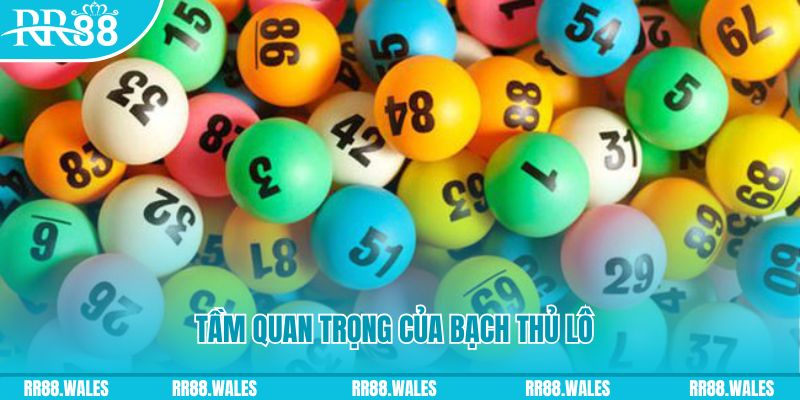 gacha club Ws168 Đá Gà
