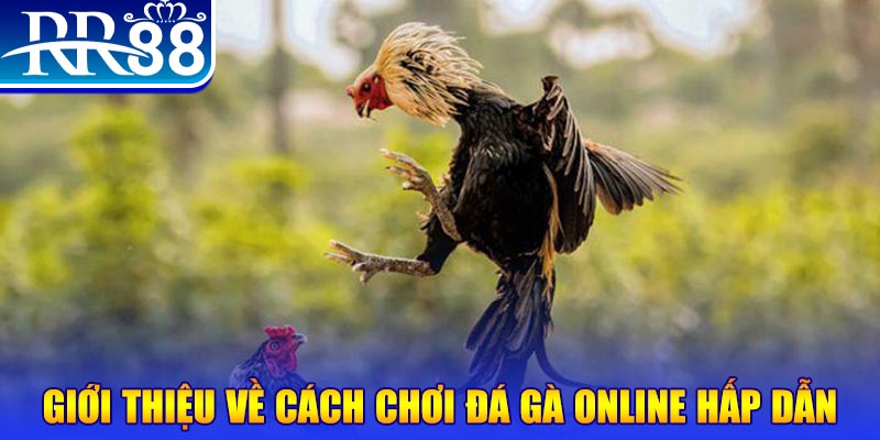 gacha club nổ hũ 2 mặt là gì