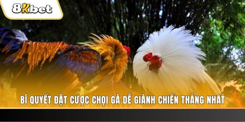 gacha club may club nổ hũ