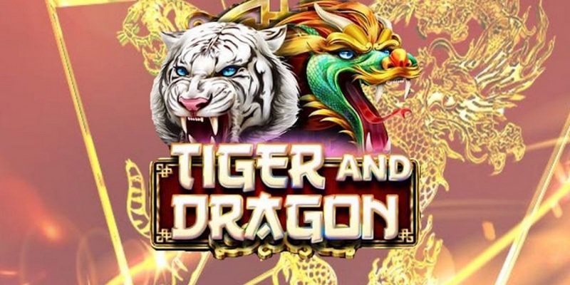 gacha club cá cược tiếng anh là gì