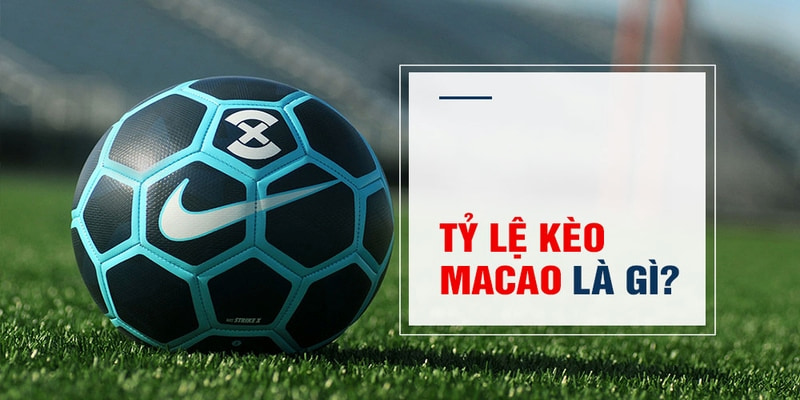 gacha club Trăm Knorr